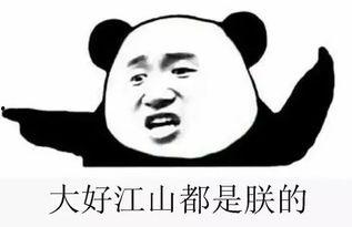 娱乐群吃瓜群众,吃瓜群众的热议焦点大盘点